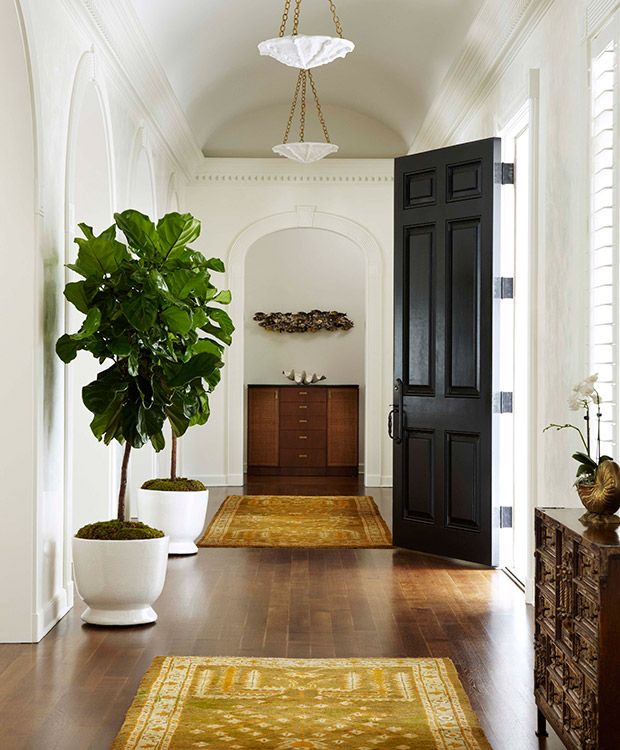 hallway with plants, bright hallway with plants, beautiful hallway