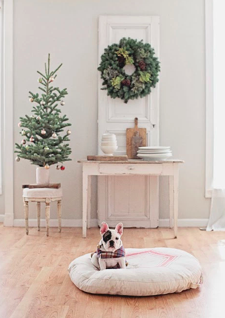 holiday decorations, dog and holiday decorations, christmas dog