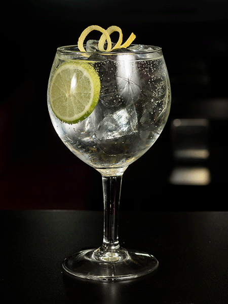 gin and tonic, gin and tonic with lime, upscale gin and tonic