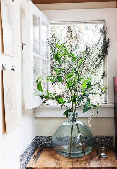 Tree branches in a vase