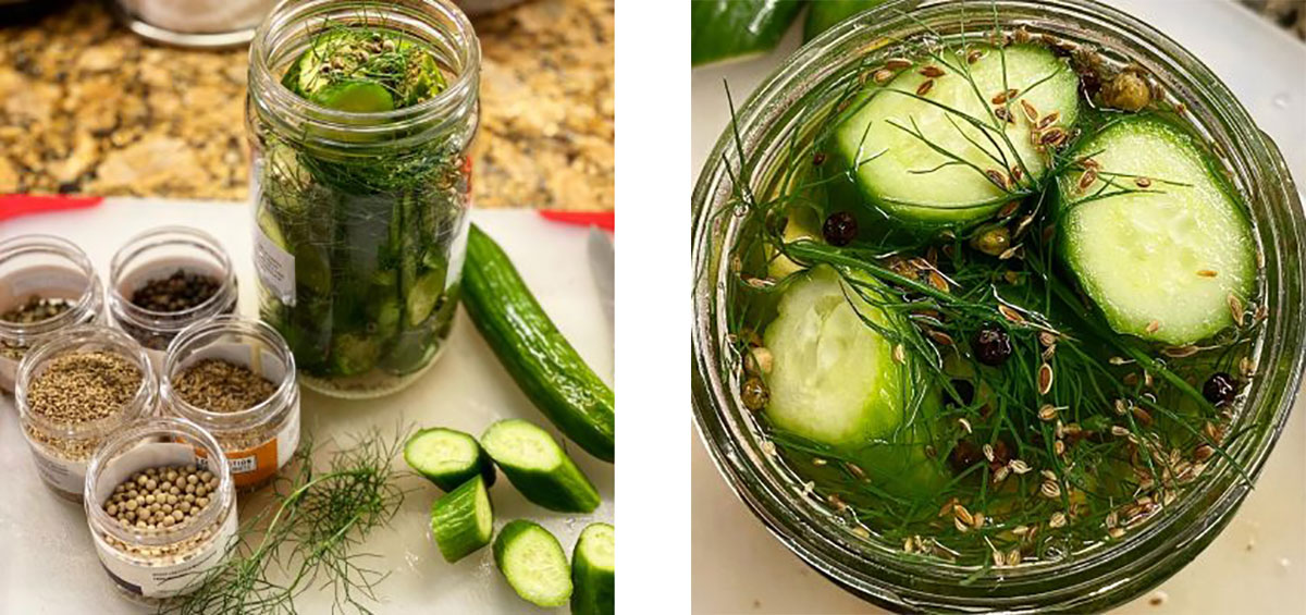 cucumber dill pickles